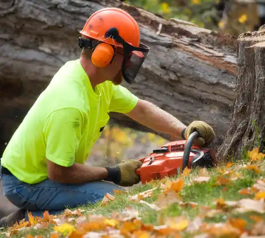 tree services Stockton